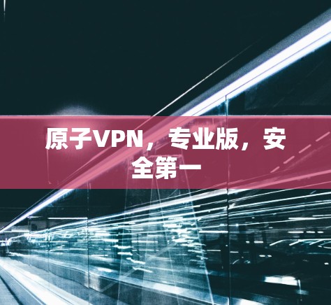 原子VPN，专业版，安全第一