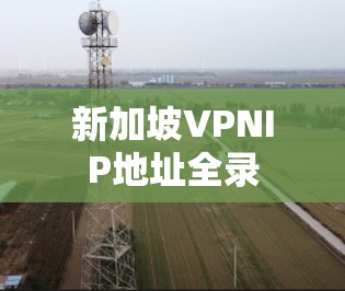 新加坡VPNIP地址全录