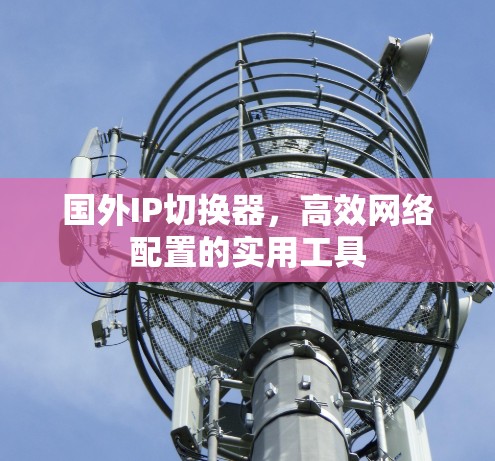 国外IP切换器，高效网络配置的实用工具