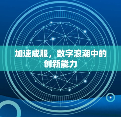加速成服，数字浪潮中的创新能力