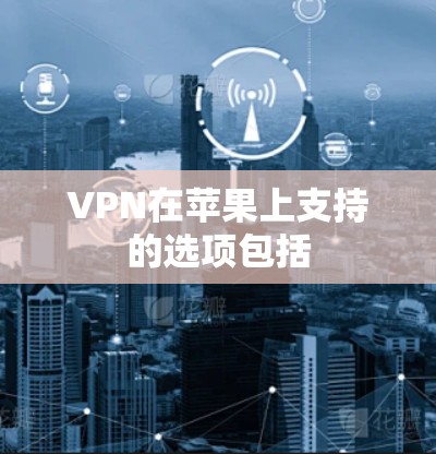 VPN在苹果上支持的选项包括