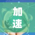 加速器网络加速，领先技术，用户体验的未来