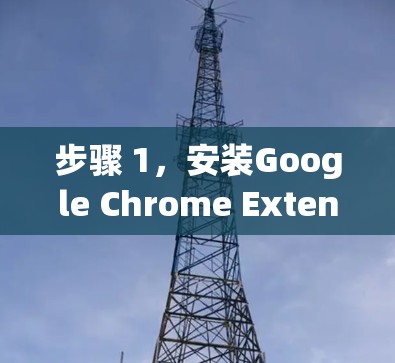 步骤 1，安装Google Chrome Extension