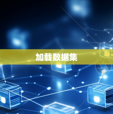 加载数据集