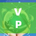 VPN（Virtual Private Network，虚拟专用网络）是通过网络技术让用户在安全的环境中访问互联网服务。以下是全球主要的VPN公司和提供服务的网络