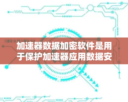 加速器数据加密软件是用于保护加速器应用数据安全性的软件工具。以下是一些常见的加速器数据加密软件推荐，帮助您在加速器中保护数据安全