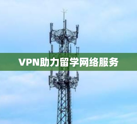 VPN助力留学网络服务