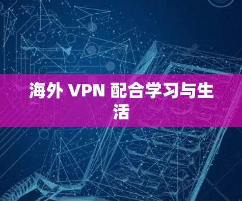海外 VPN 配合学习与生活