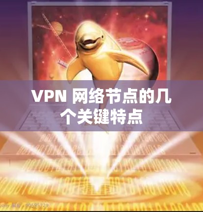 VPN 网络节点的几个关键特点