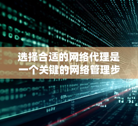 选择合适的网络代理是一个关键的网络管理步骤，它直接影响到数据的传输和访问。以下是一个分步骤的总结，帮助您更系统地选择最适合自己的网络代理