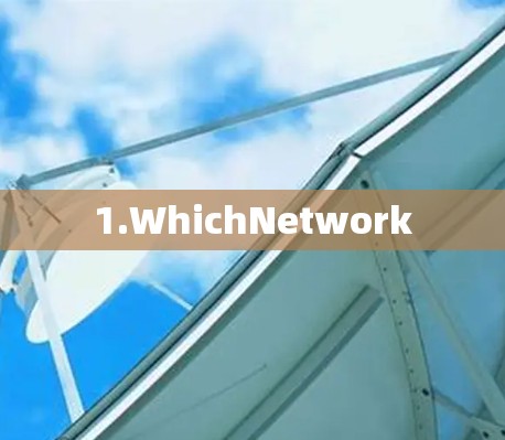 1.WhichNetwork