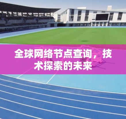 全球网络节点查询，技术探索的未来