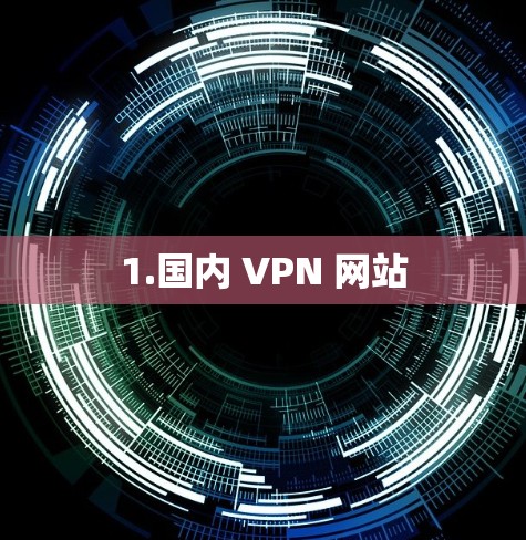 1.国内 VPN 网站