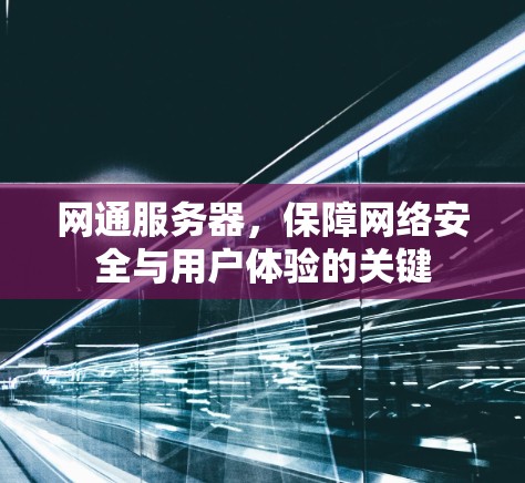 网通服务器，保障网络安全与用户体验的关键