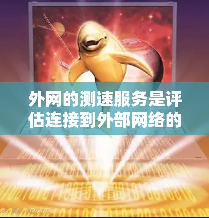 外网的测速服务是评估连接到外部网络的能力，帮助用户了解网络性能。以下是关于外网测速服务的详细分析