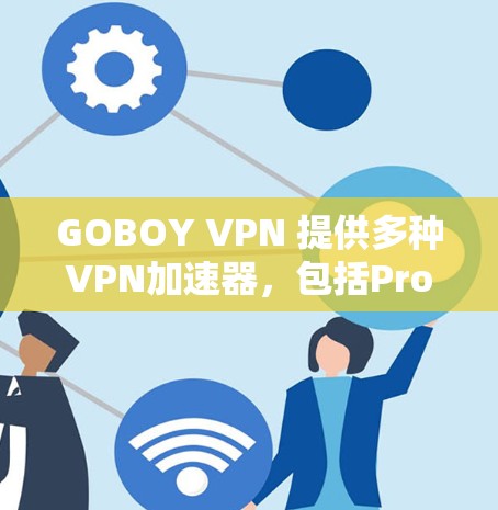 GOBOY VPN 提供多种VPN加速器，包括Pro、Personal、Basic 和 Plus 等版本，满足不同用户的需求。以下是基于用户需求的推荐和小贴士