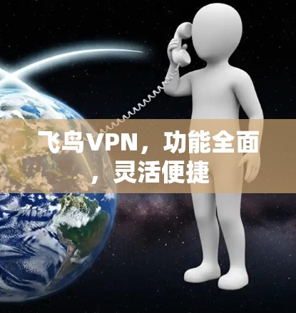 飞鸟VPN,功能全面,灵活便捷 飞鸟VPN,功能全面,灵活便捷