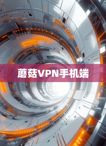蘑菇VPN手机端 蘑菇VPN手机端