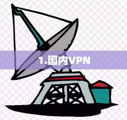 1.国内VPN 1.国内VPN