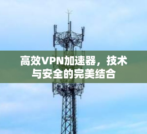 高效VPN加速器,技术与安全的完美结合 高效VPN加速器,技术与安全的完美结合