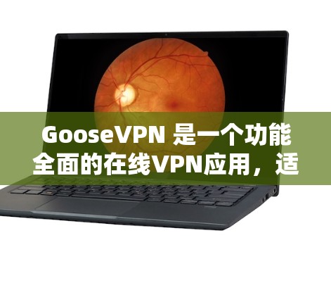 GooseVPN 是一个功能全面的在线VPN应用,适合需要在线VPN服务的用户。以下是使用 GooseVPN 的步骤和注意事项 GooseVPN 是一个功能全面的在线VPN应用,适合需要在线VPN服务的用户。以下是使用 GooseVPN 的步骤和注意事项