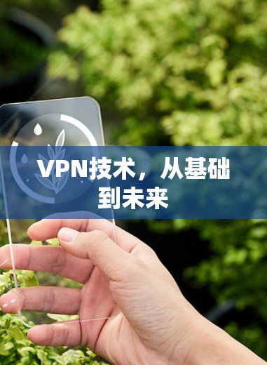 VPN技术,从基础到未来 VPN技术,从基础到未来