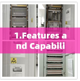 1.Features and Capabilities: 1.Features and Capabilities: