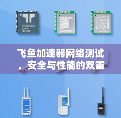 飞鱼加速器网络测试,安全与性能的双重挑战 飞鱼加速器网络测试,安全与性能的双重挑战