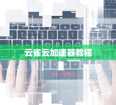 云雀云加速器教程 云雀云加速器教程
