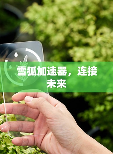 雪狐加速器,连接未来 雪狐加速器,连接未来