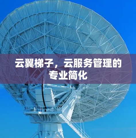 云翼梯子，云服务管理的专业简化