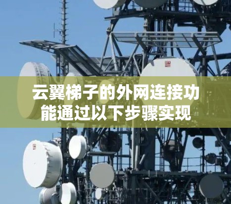 云翼梯子的外网连接功能通过以下步骤实现