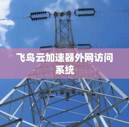 飞鸟云加速器外网访问系统