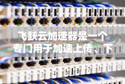 飞跃云加速器是一个专门用于加速上传、下载和网络连接的工具。如果你在手机上使用它来提升文件上传和下载速度，那就很好了。以下是一个关于飞跃云加速器的介绍
