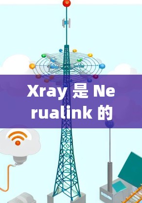 Xray 是 Nerualink 的节点管理工具，主要用于在电子显微镜系统中管理节点之间的连接和交互。以下是如何使用 Xray 管理节点的步骤和功能