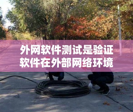 外网软件测试是验证软件在外部网络环境下的表现，涉及多个步骤和工具。以下是一个结构化的总结